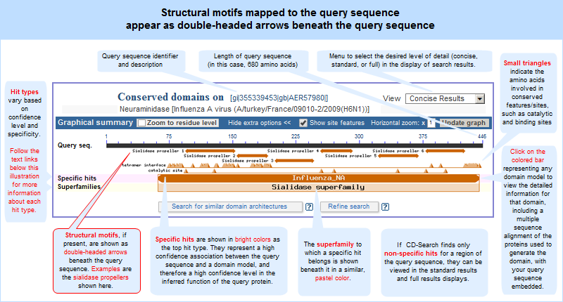 Image showing double-headed arrows that sometimes appear in CD-Search results. The represent structural motifs mapped to the query protein sequence. Structural motifs are regions in proteins and protein domains that are too small to be modelled as individual evolutionarily conserved domains and too extensive to be characterized as conserved features/sites. Click anywhere on the graphic to open the actual, interactive CD-Search results page for this exmaple, AER57980, neuraminidase from Influenza A virus.